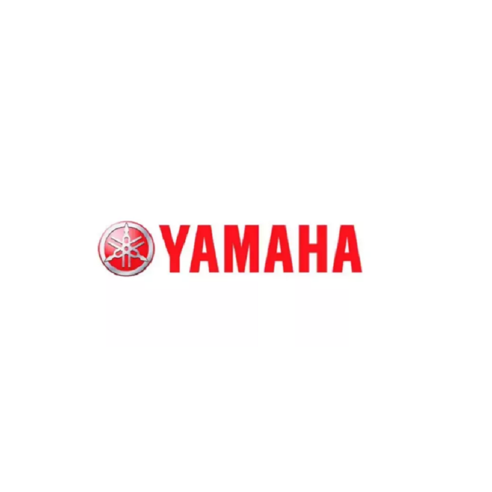 Fazer 250 Suporte Estribo Tras Lado Direito Yamaha Genuíno